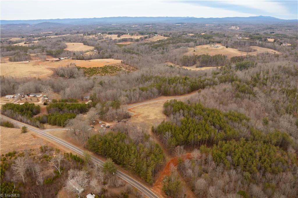 0 Dearmin Road Westfield, NC 27053 - Photo 9 of 33