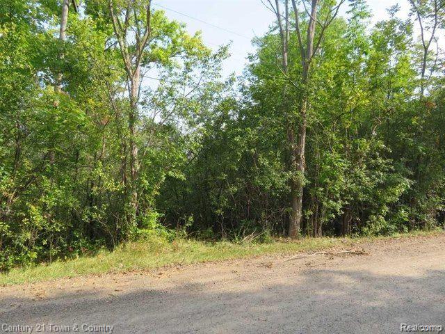 Lot 23 Rockshire Avenue Farmington, MI 48334 - Photo 1 of 1