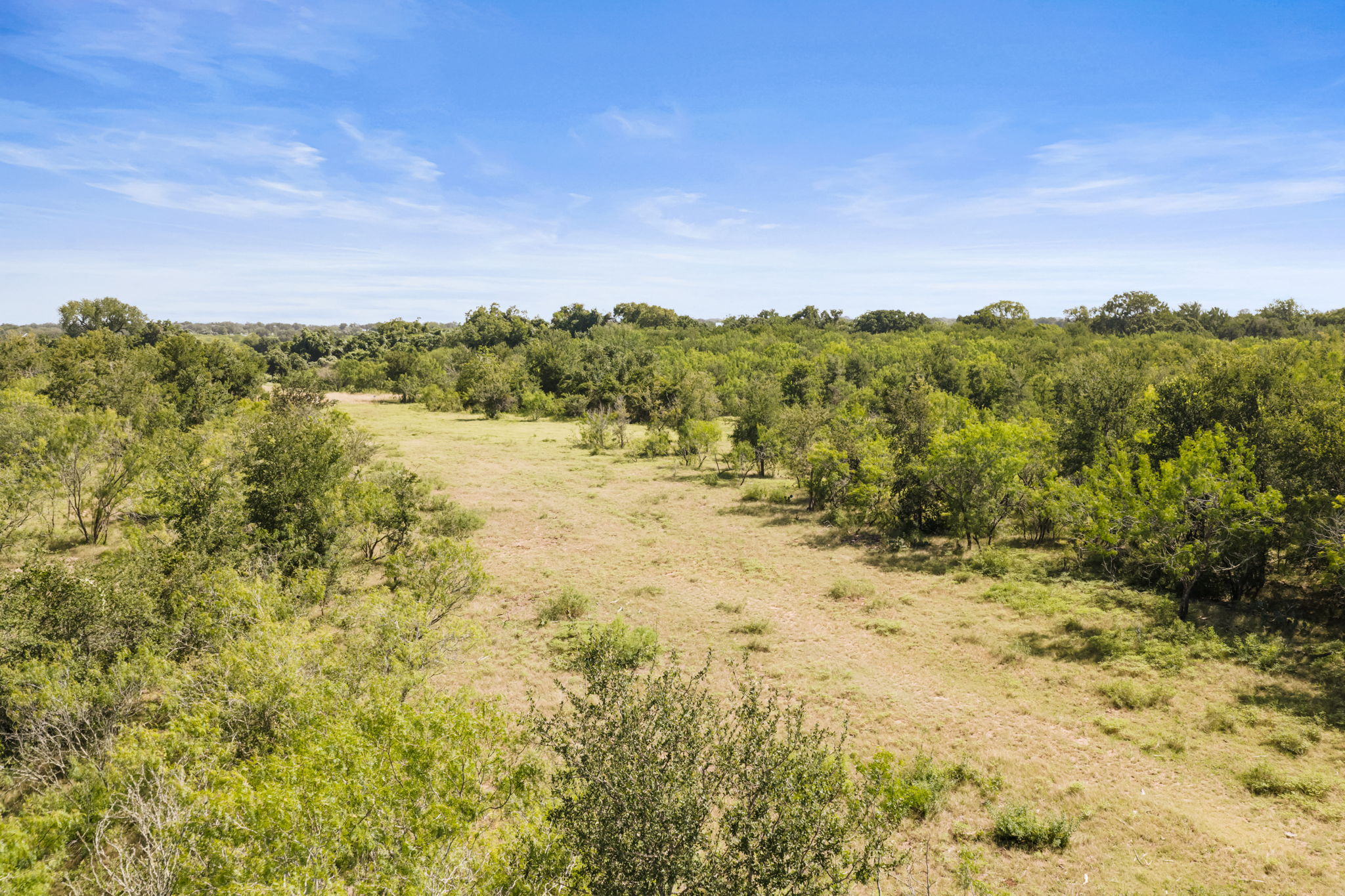625 Callihan Road Luling, TX 78648 - Photo 25 of 26 A verdant panorama showcasing a sprawling lot with a mix of mature trees and open fields.