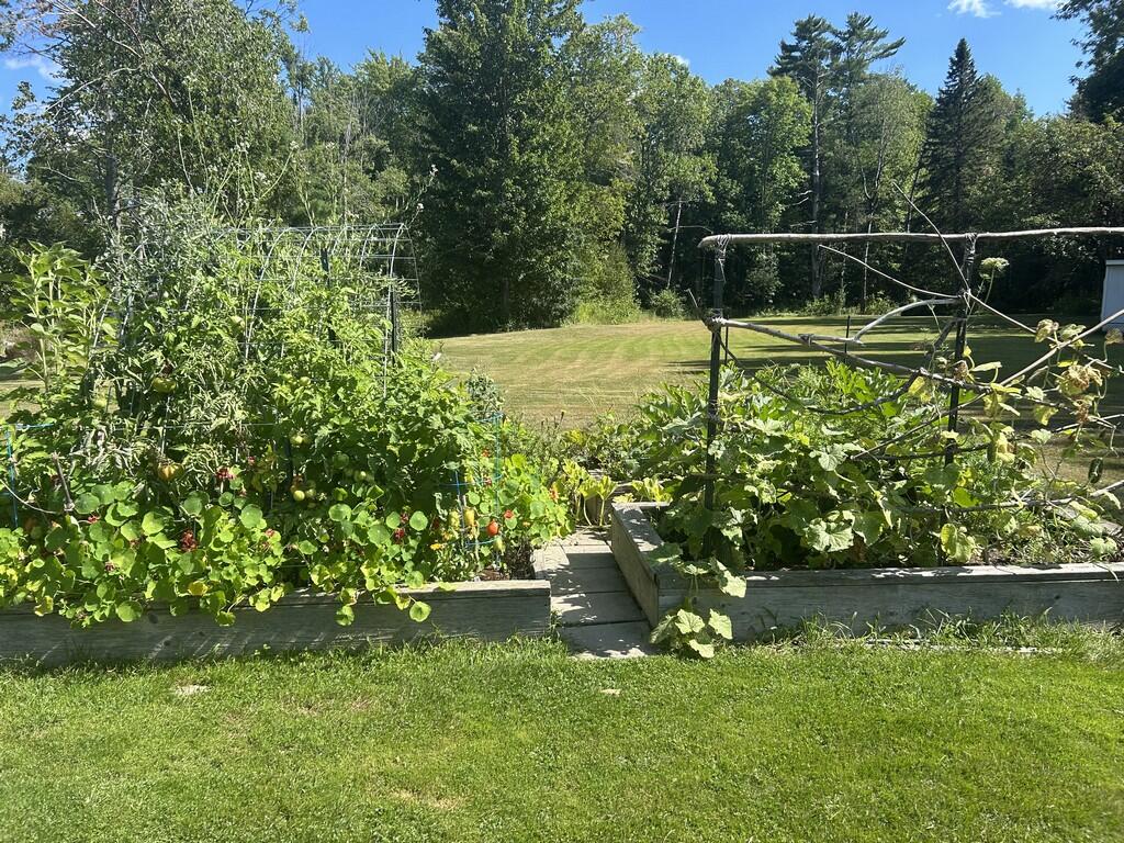 251 Hampden Road Carmel, ME 04419 - Photo 69 of 101 Garden 1 (Copy)