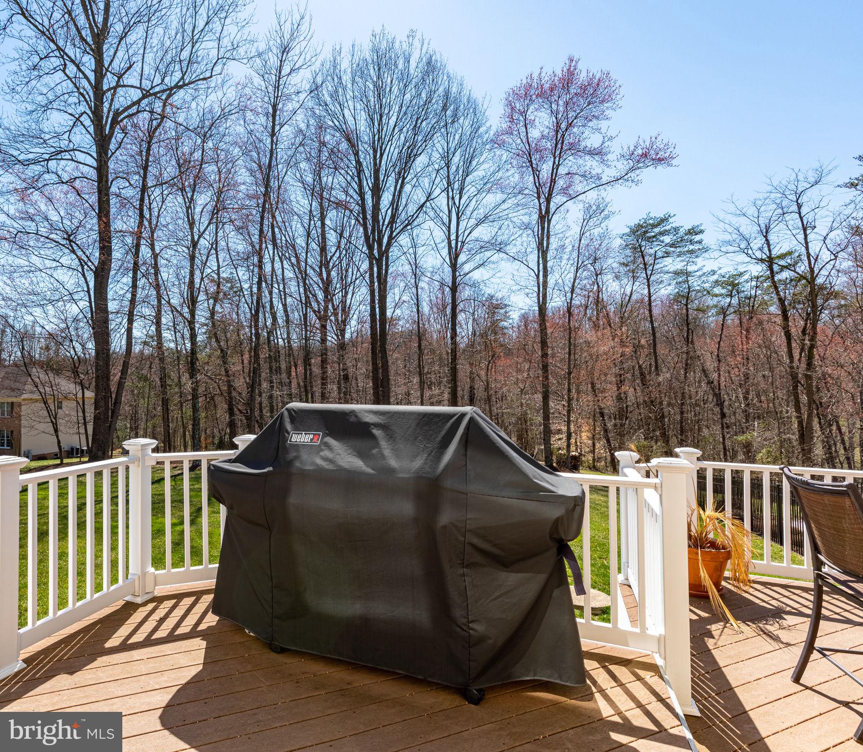 1608 Rushing Stream Court Forest Hill, MD 21050 - Photo 65 of 89 Gallery Image 65