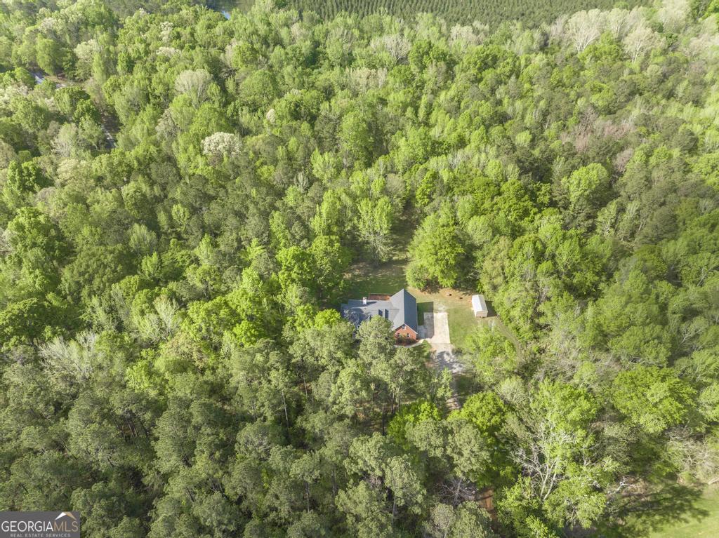 204 Smith Road Haddock, GA 31033 - Photo 45 of 51