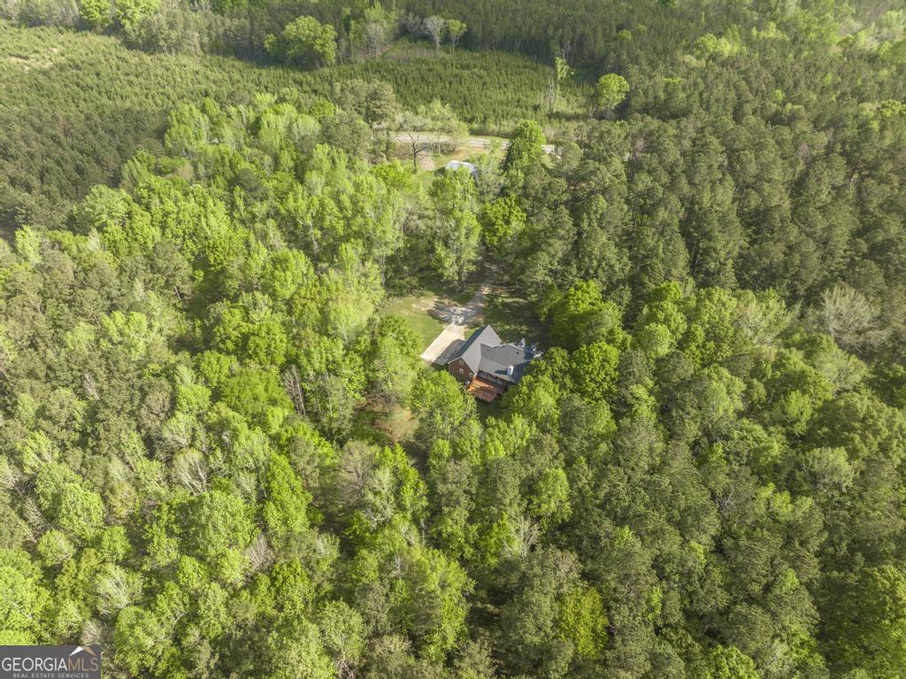 204 Smith Road Haddock, GA 31033 - Photo 49 of 51