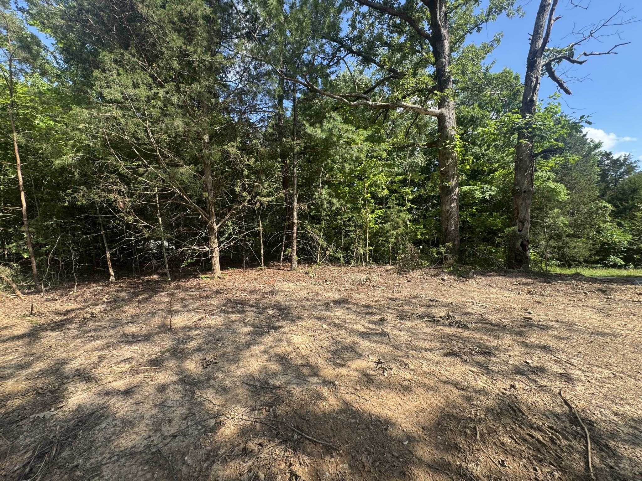 1 Commissary Ridge Road Indian Mound, TN 37079 - Photo 9 of 9 a view of outdoor space with trees