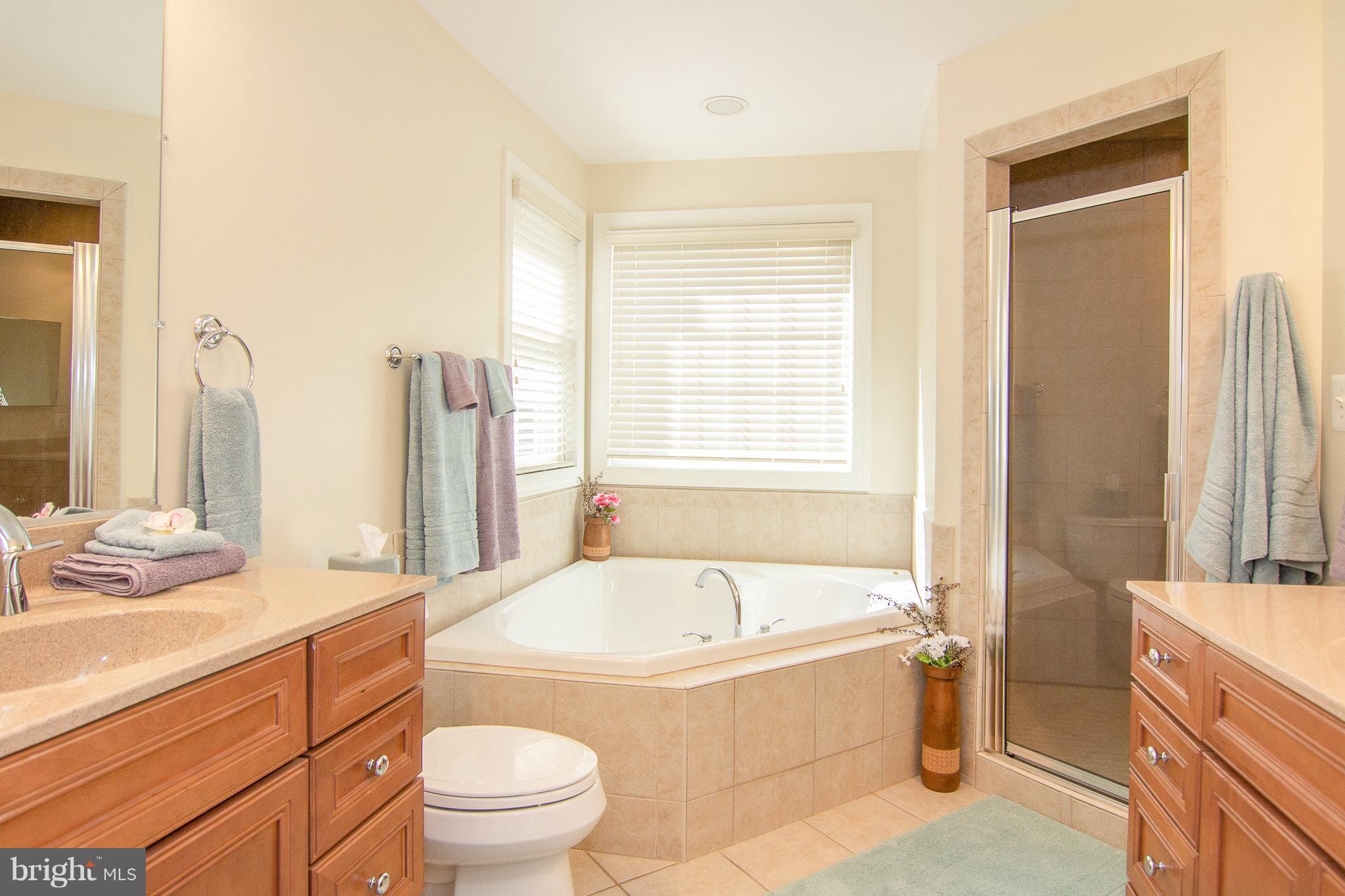 2117 Nicodemus Road Westminster, MD 21157 - Photo 16 of 30 Bath (Master)