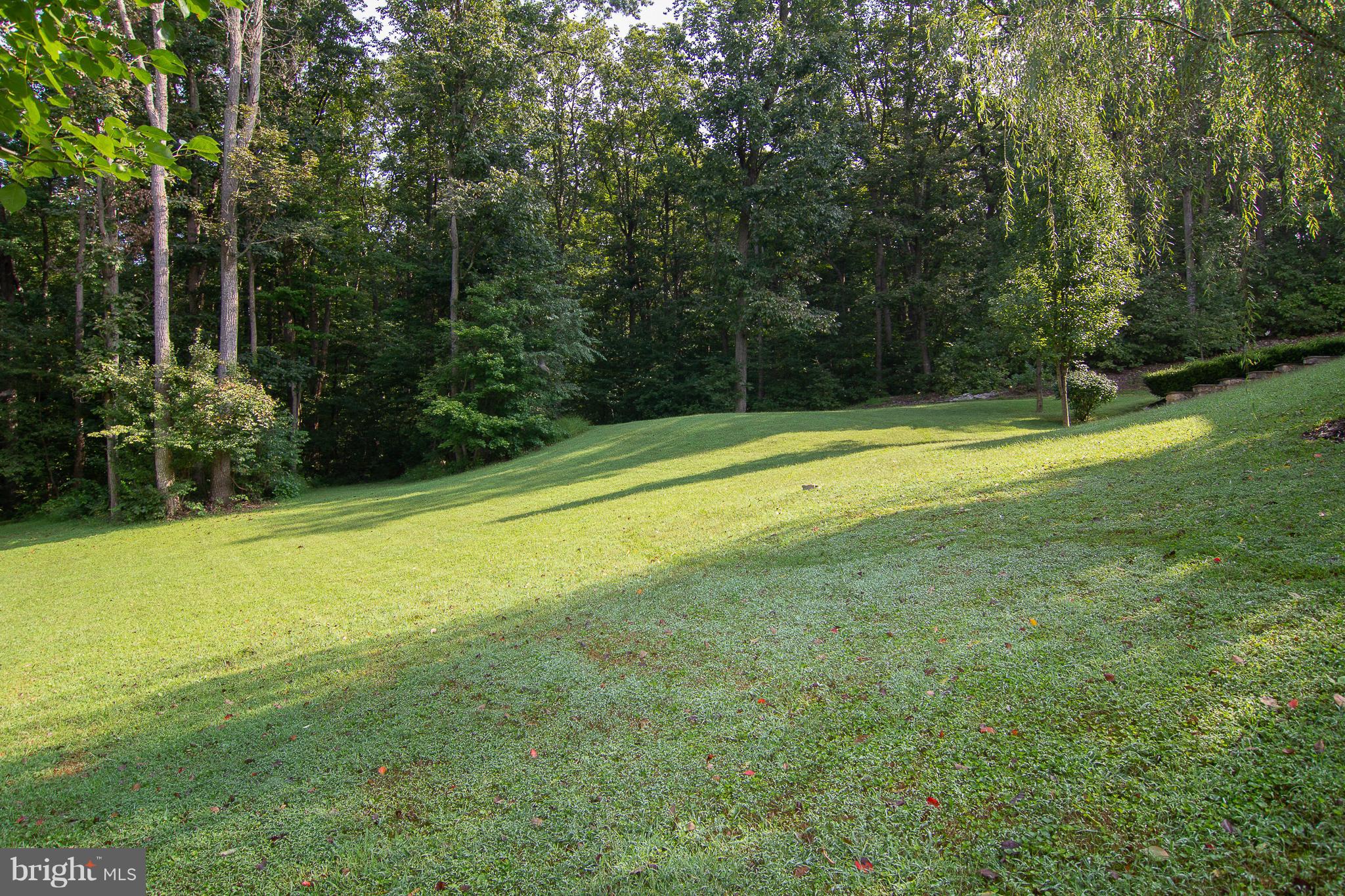 2117 Nicodemus Road Westminster, MD 21157 - Photo 30 of 30 Large side Yard