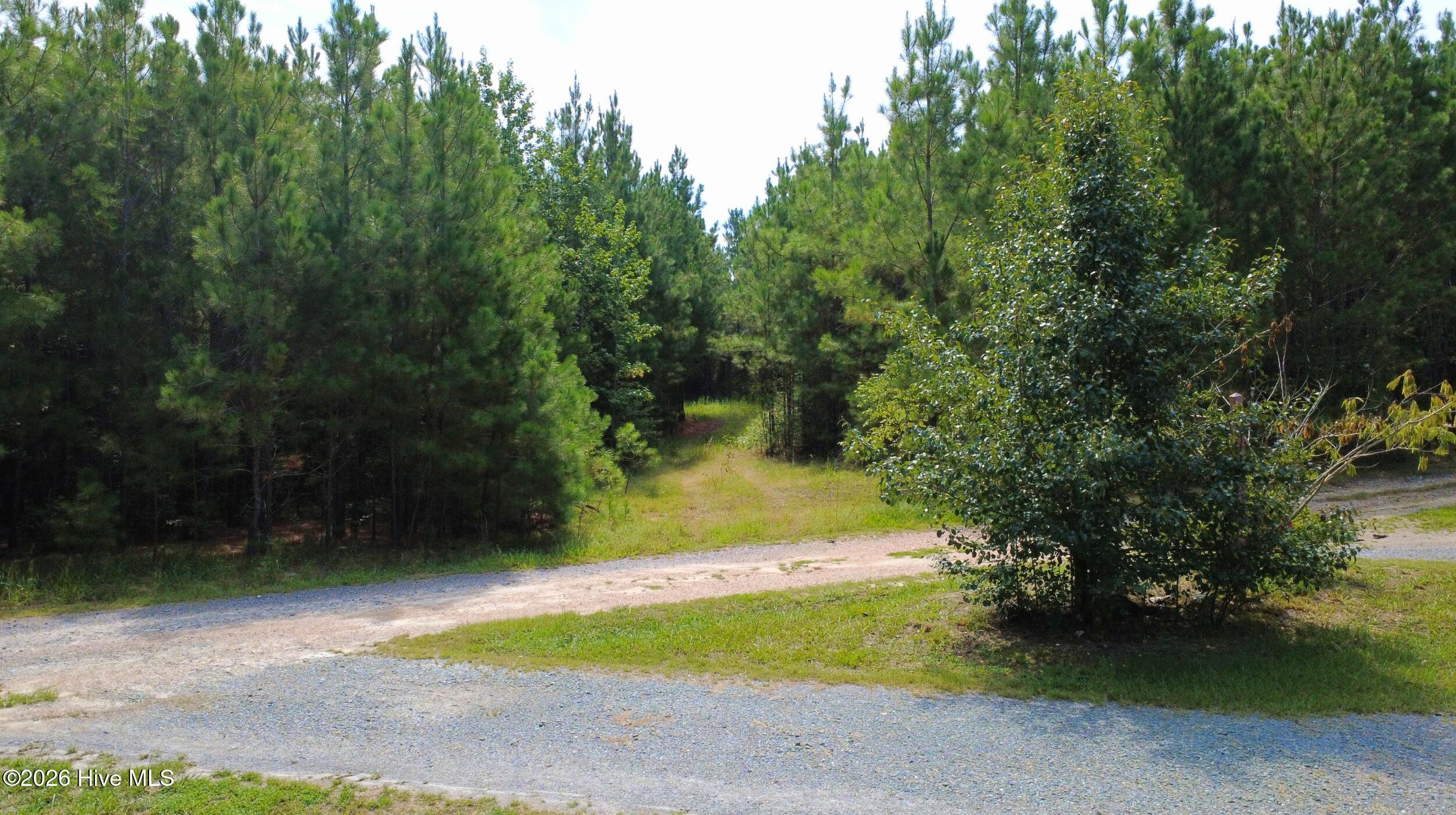 239 Lick Creek Road Carthage, NC 28327 - Photo 9 of 12 8