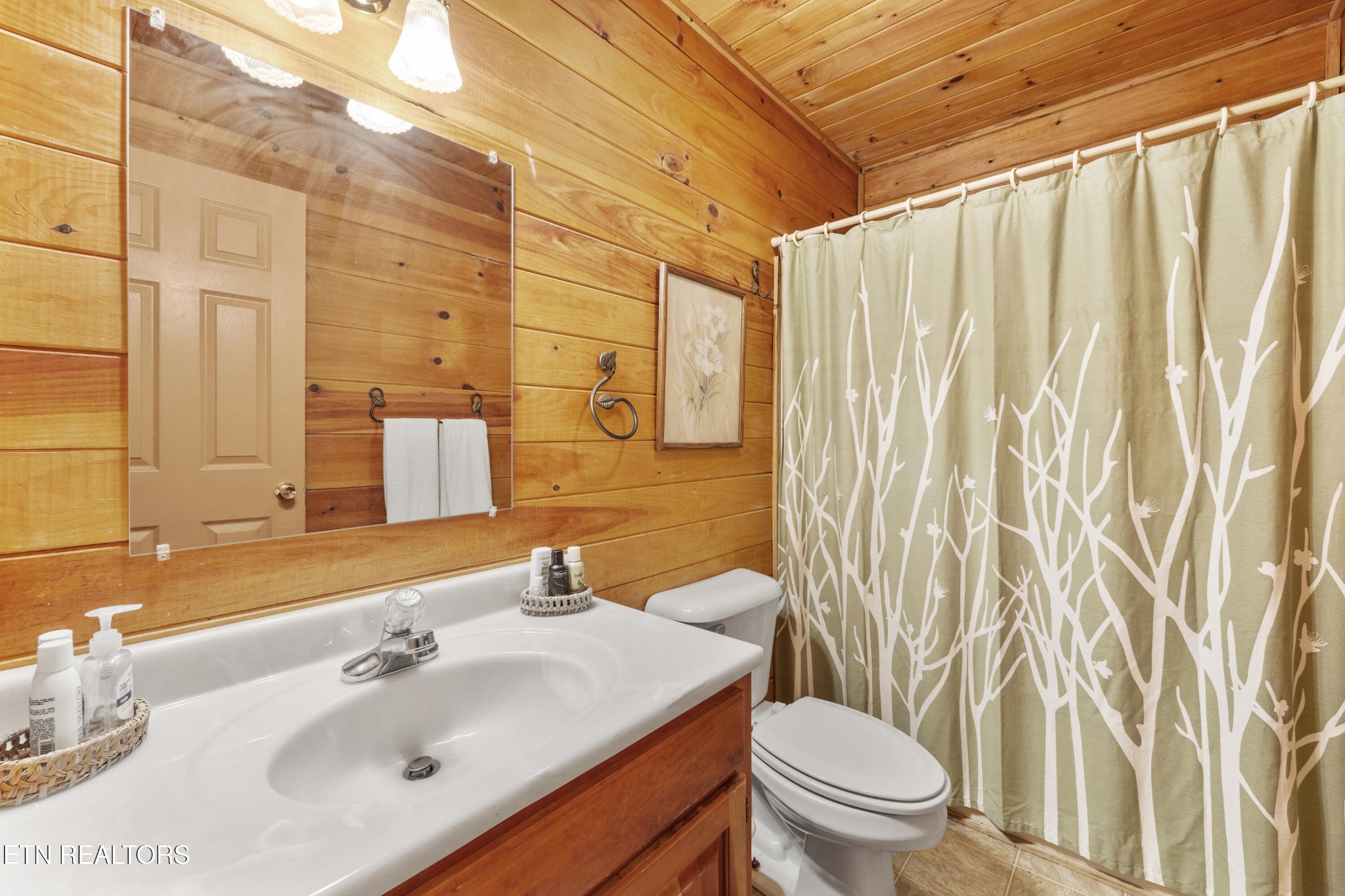 3850 Millers Ridge Way Sevierville, TN 37862 - Photo 20 of 34 Gallery Image 20