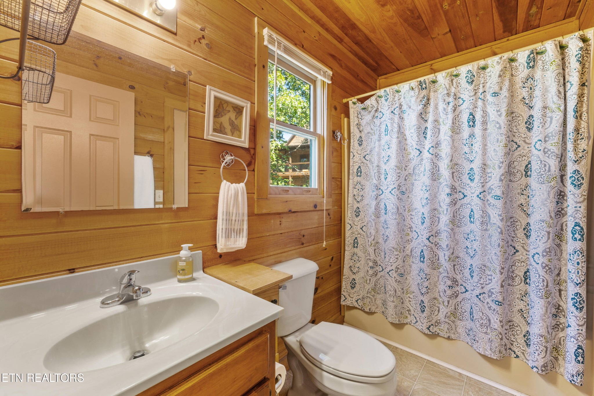 3850 Millers Ridge Way Sevierville, TN 37862 - Photo 22 of 34 Gallery Image 22