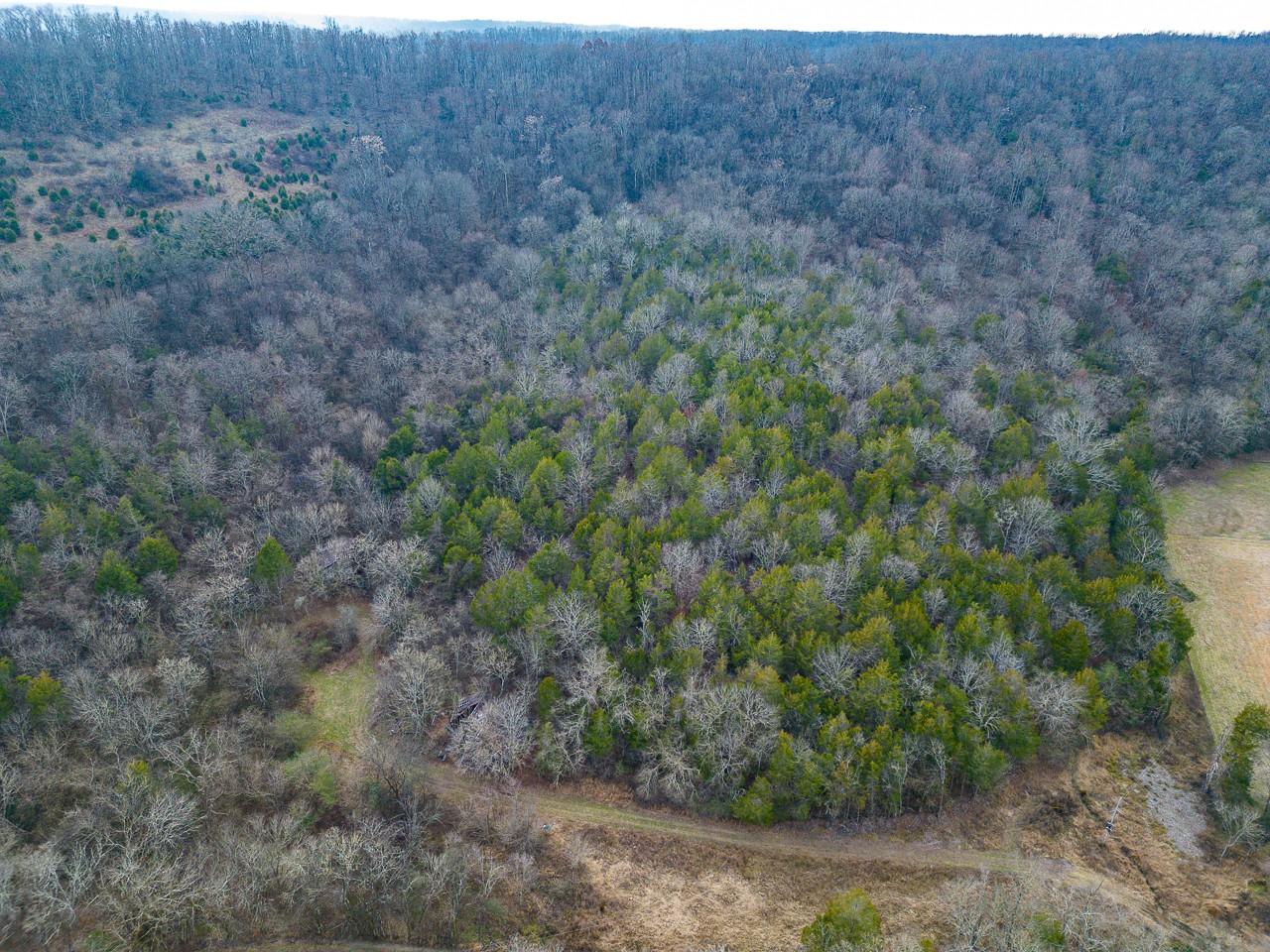 102 Redd Branch Road Fayetteville, TN 37334 - Photo 2 of 10