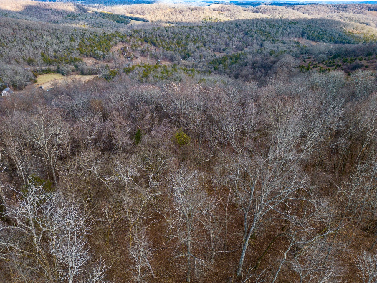 102 Redd Branch Road Fayetteville, TN 37334 - Photo 3 of 10
