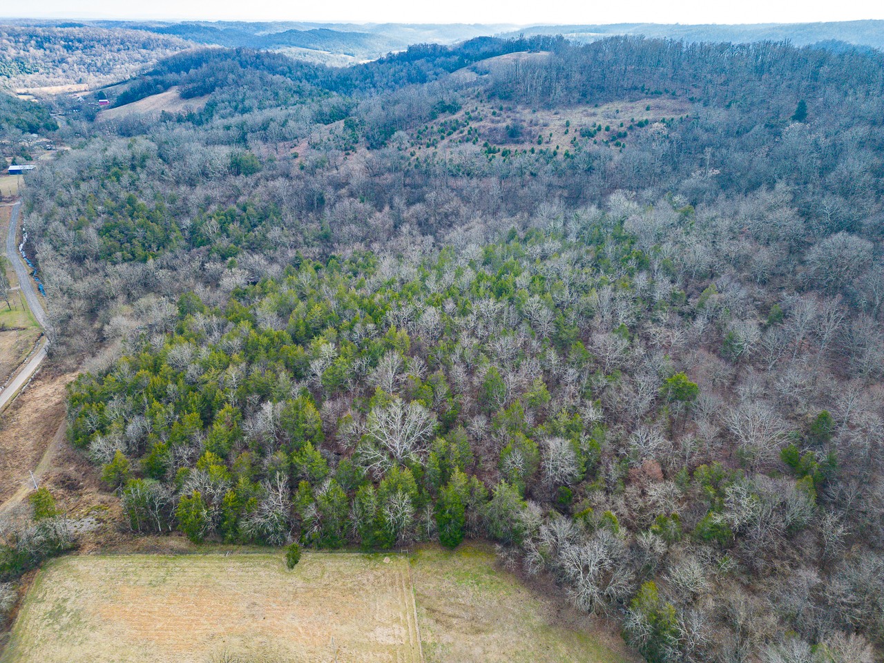 102 Redd Branch Road Fayetteville, TN 37334 - Photo 4 of 10