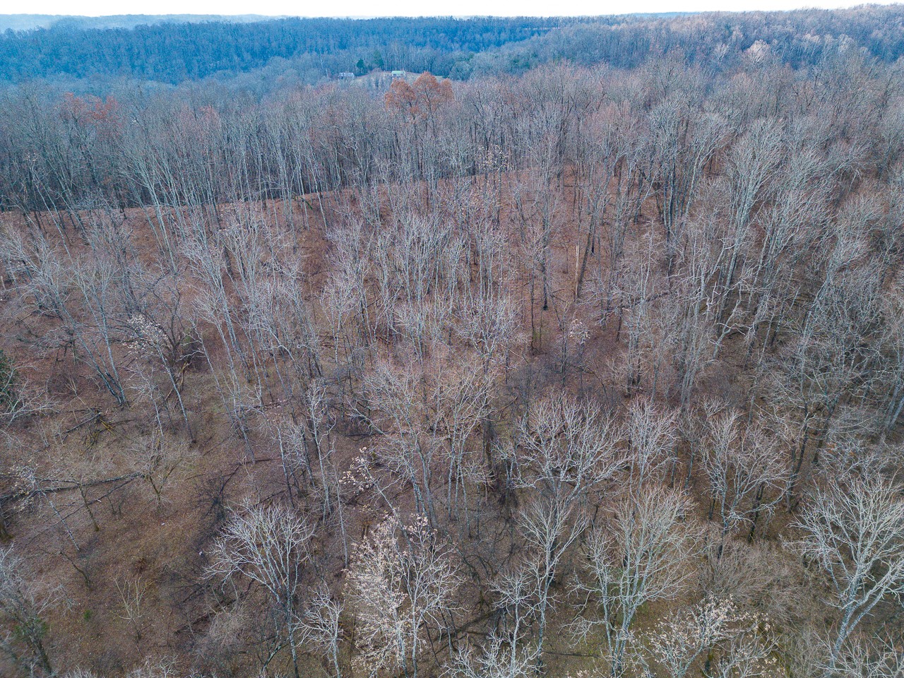 102 Redd Branch Road Fayetteville, TN 37334 - Photo 5 of 10