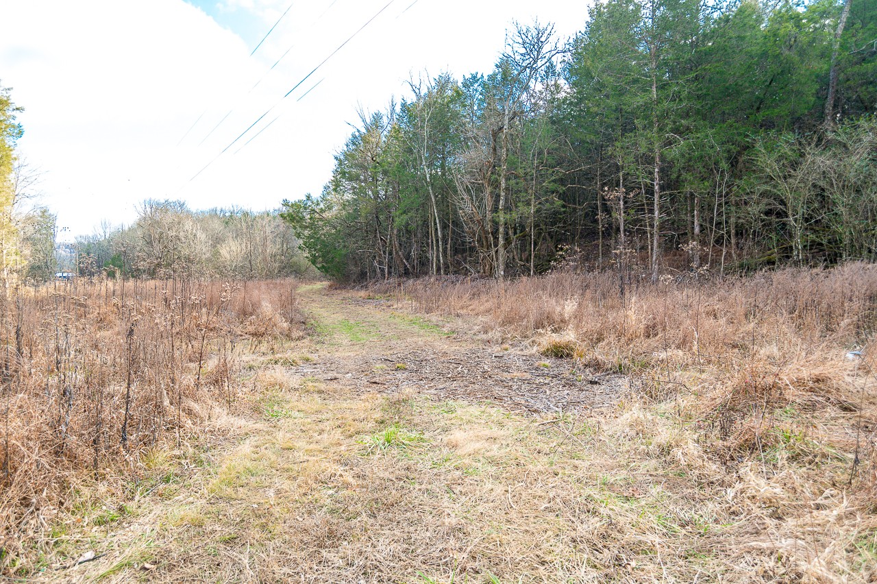 102 Redd Branch Road Fayetteville, TN 37334 - Photo 6 of 10