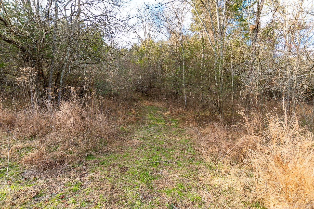 102 Redd Branch Road Fayetteville, TN 37334 - Photo 8 of 10