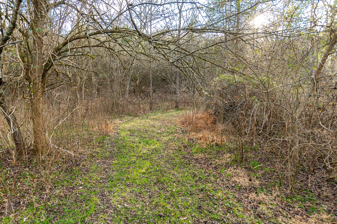 102 Redd Branch Road Fayetteville, TN 37334 - Photo 10 of 10