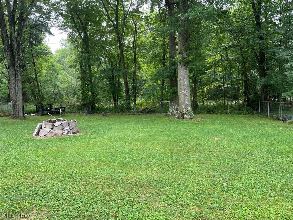 759 Truesdale Road Youngstown, OH 44511 - Photo 29 of 37 View of yard