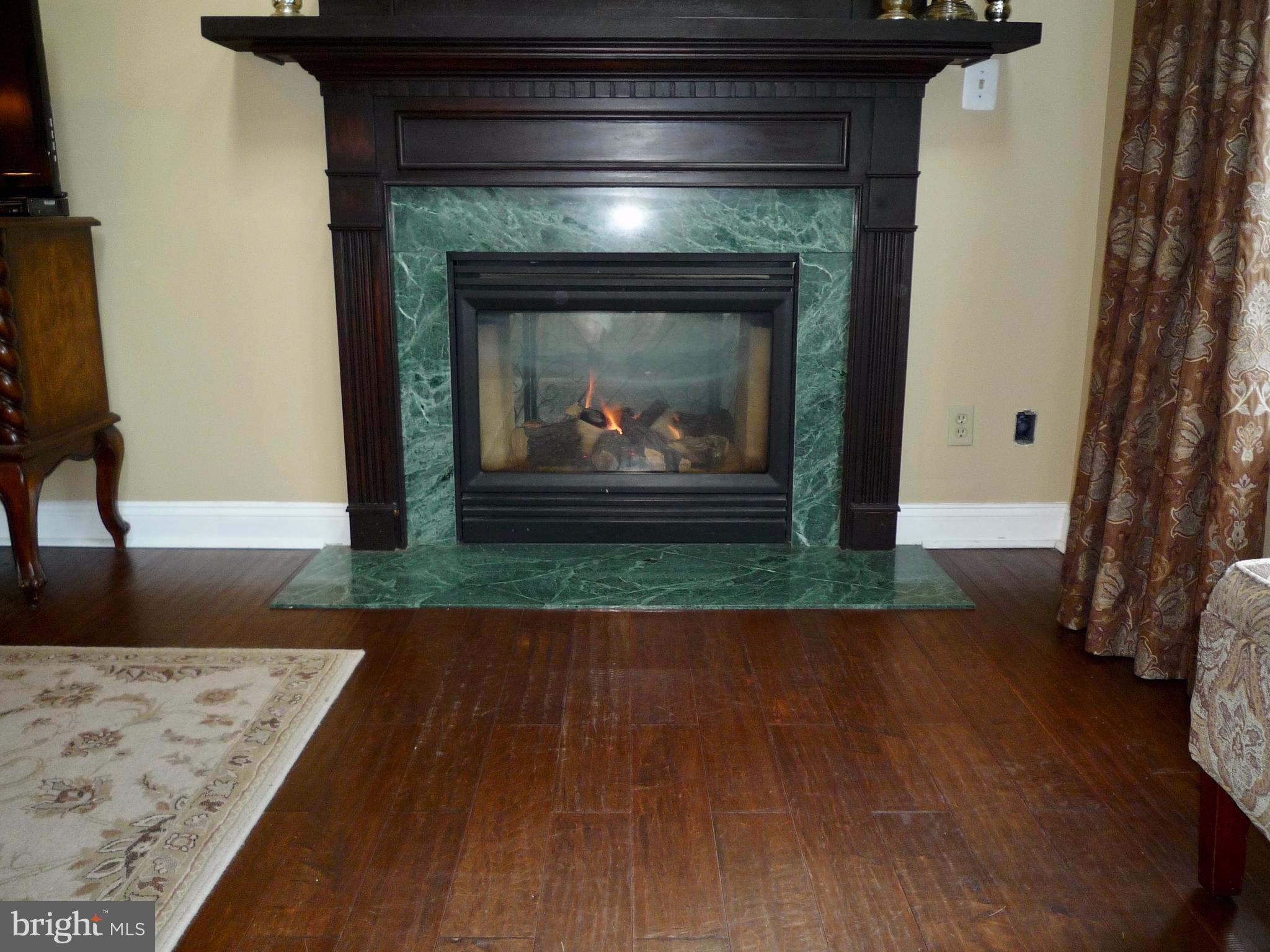 58 Montague Road Newark, DE 19713 - Photo 21 of 88 Family Room Double Sided Fireplac
