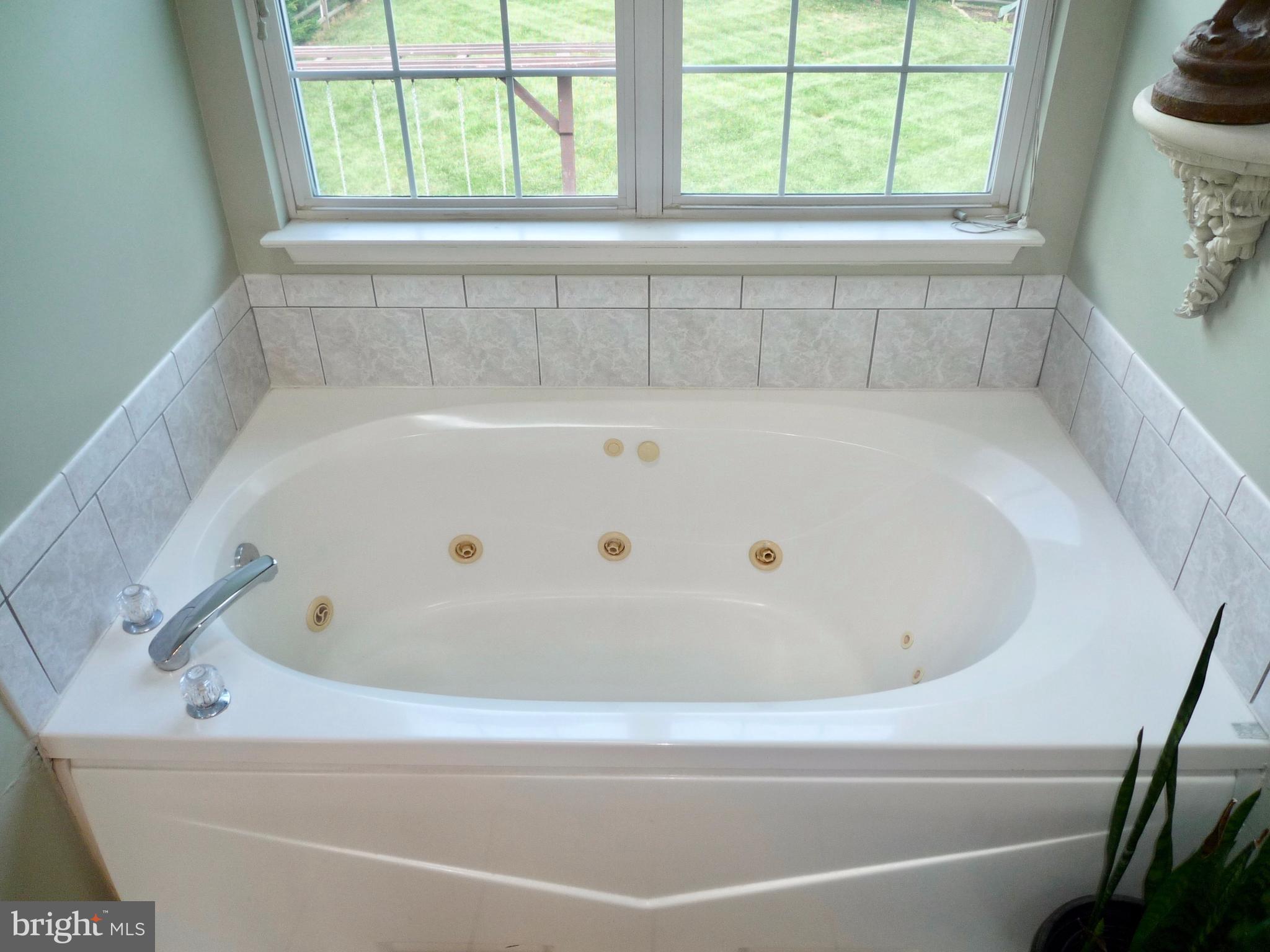 58 Montague Road Newark, DE 19713 - Photo 58 of 88 Master Bath