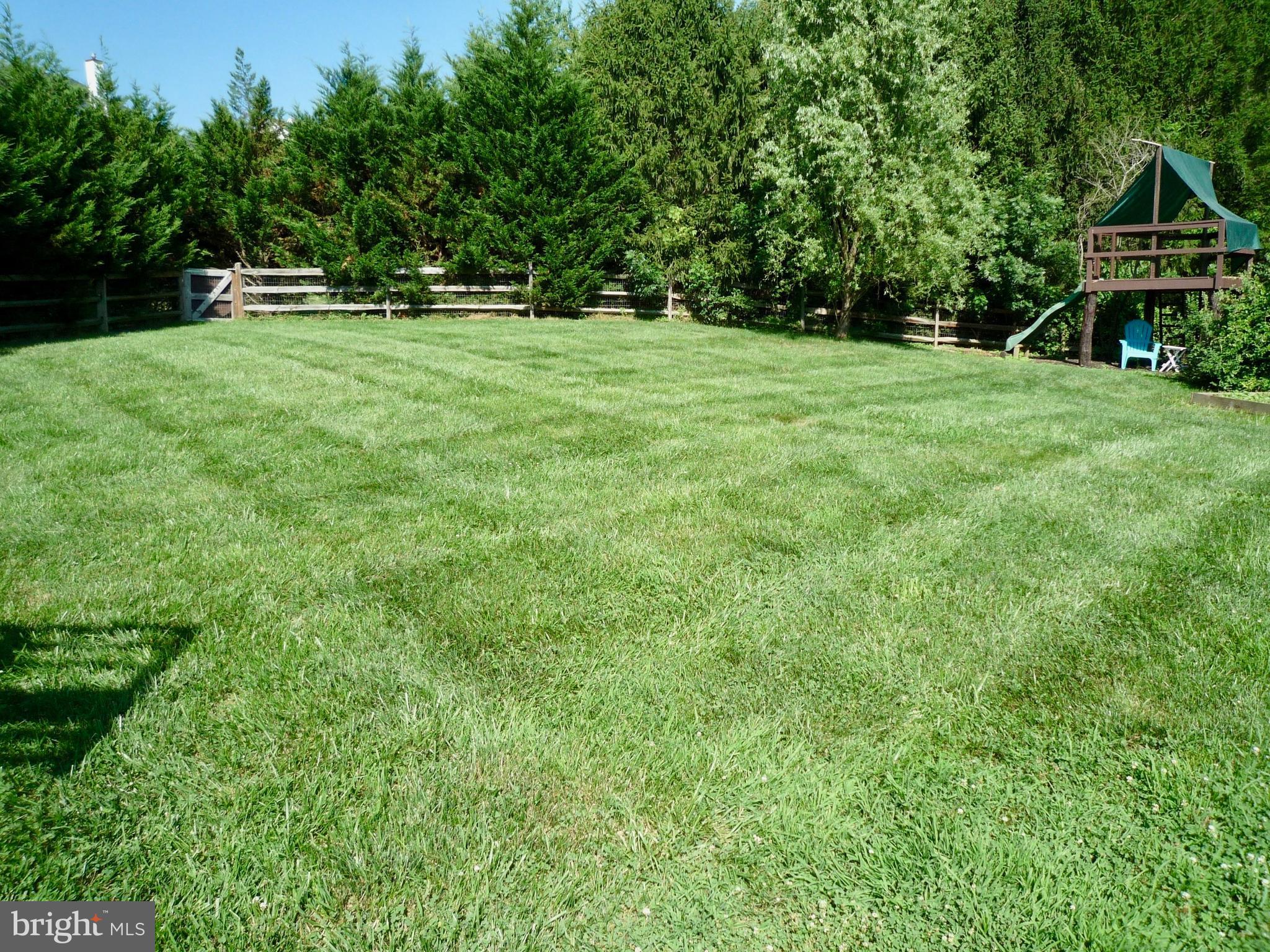 58 Montague Road Newark, DE 19713 - Photo 84 of 88 Backyard View