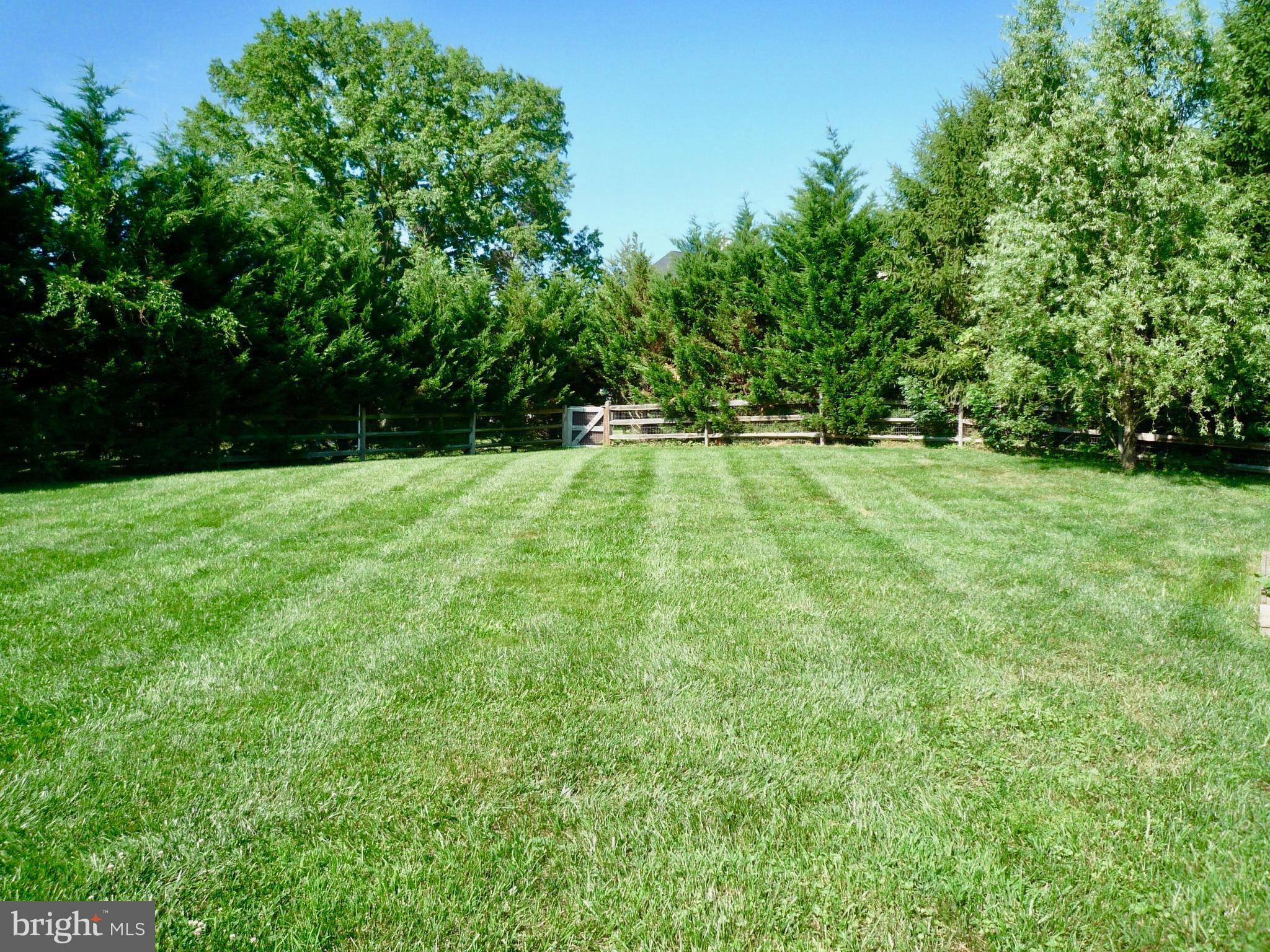 58 Montague Road Newark, DE 19713 - Photo 85 of 88 Backyard View