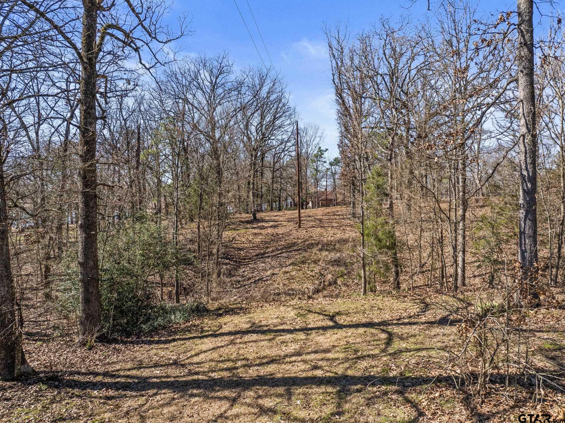 27 Private Road Pittsburg, TX 75686 - Photo 34 of 44