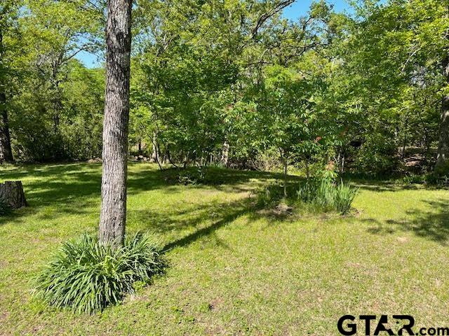 27 Private Road Pittsburg, TX 75686 - Photo 37 of 44