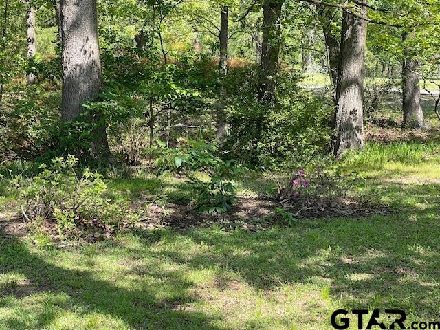 27 Private Road Pittsburg, TX 75686 - Photo 39 of 44