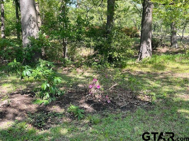 27 Private Road Pittsburg, TX 75686 - Photo 41 of 44