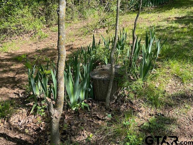 27 Private Road Pittsburg, TX 75686 - Photo 42 of 44