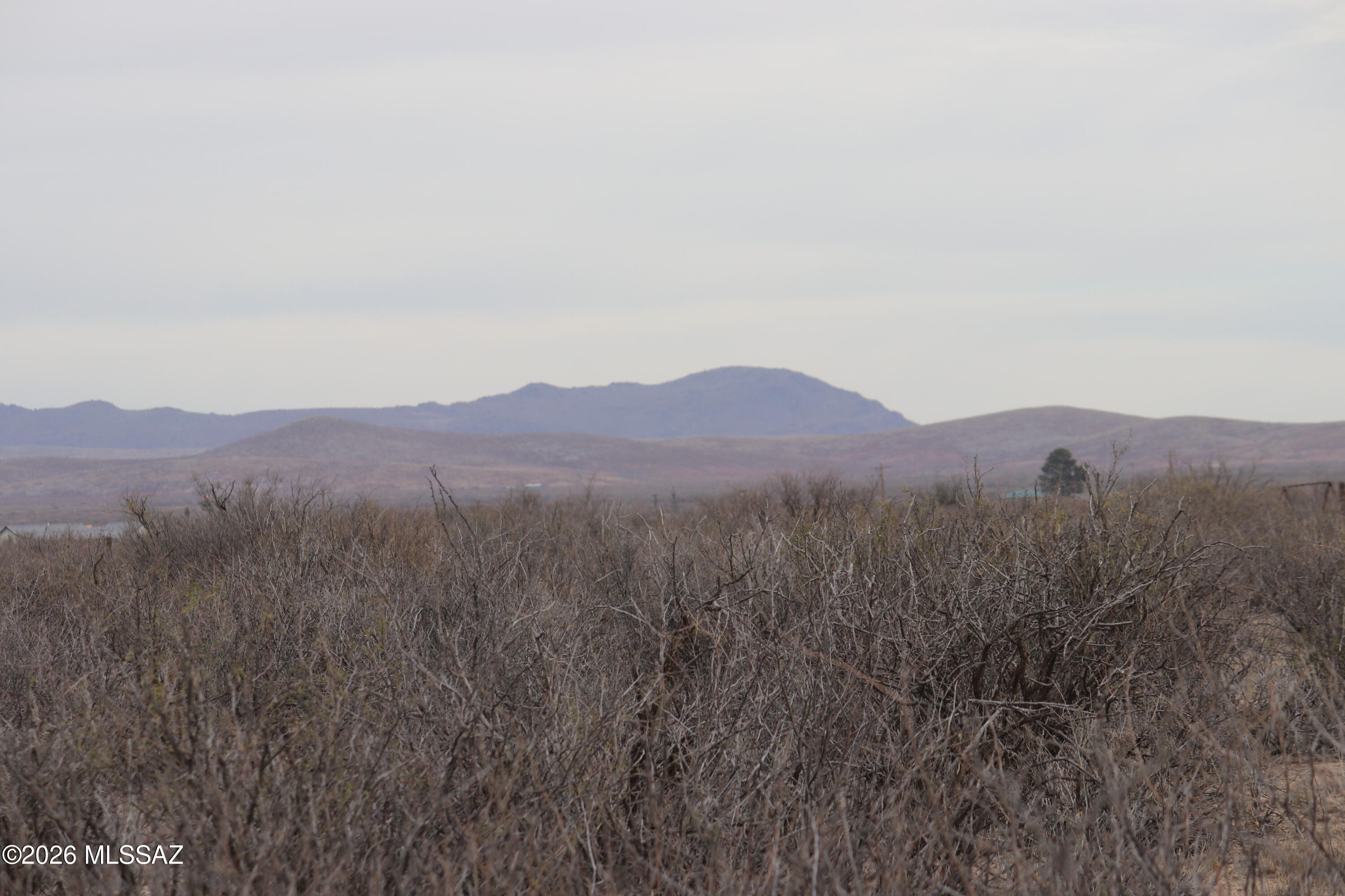 Tbd West Iron Rose Road Willcox, AZ 85643 - Photo 4 of 5