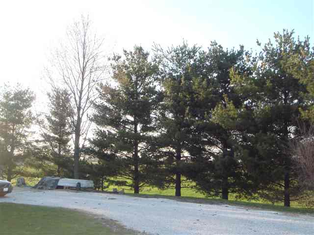 1429 Lourdes Road Metamora, IL 61548 - Photo 8 of 9 Gallery Image 8