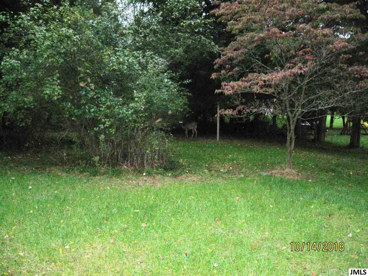 5904 South Jackson Road Jackson, MI 49201 - Photo 2 of 5 Photo 2