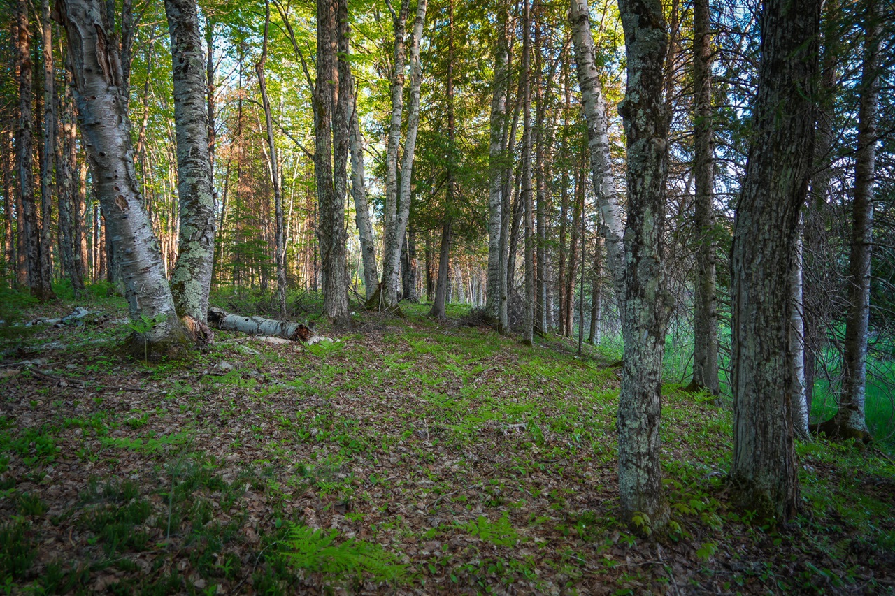 V/l V/l 33rd Road Gladstone, MI 49837 - Photo 60 of 70