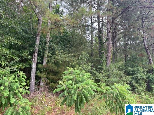 0 County Road 92, Unit X Graham, AL 36263 - Photo 2 of 13