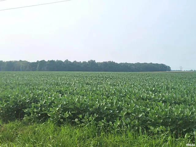 $228,463 | 0 Gravel Lane, Louisville, IL 62858