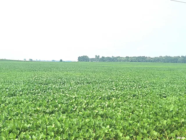 $228,463 | 0 Gravel Lane, Louisville, IL 62858