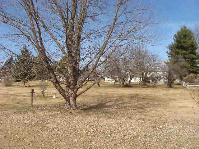 1130 Harman Road Harrisonburg, VA 22802 - Photo 17 of 18 Gallery Image 17
