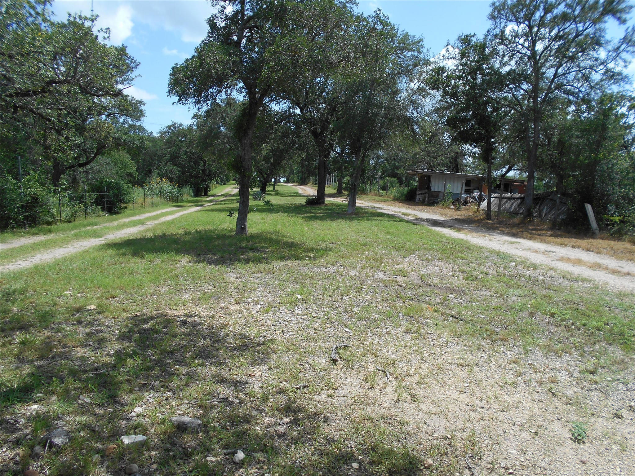 8001 Burleson Manor Road Manor, TX 78653 - Photo 3 of 31 A tranquil, tree-lined lane leads through natural landscaping to a secluded retreat.
