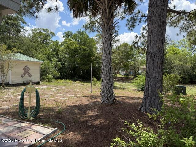 6848 Treehaven Drive Spring Hill, FL 34606 - Photo 28 of 34 Back yard