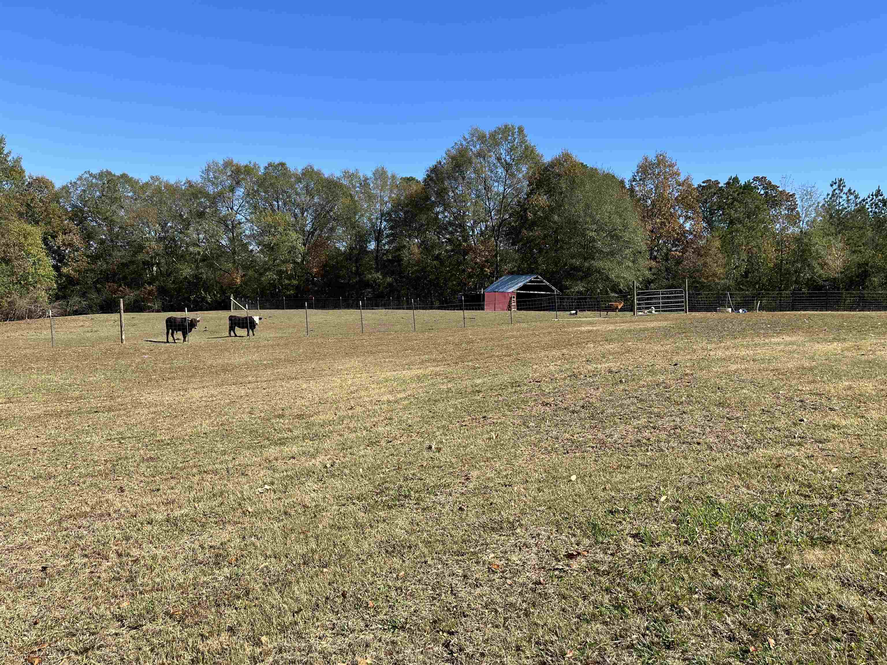 336 Martindale Road Bolivar, TN 38008 - Photo 4 of 22 Gallery Image 4