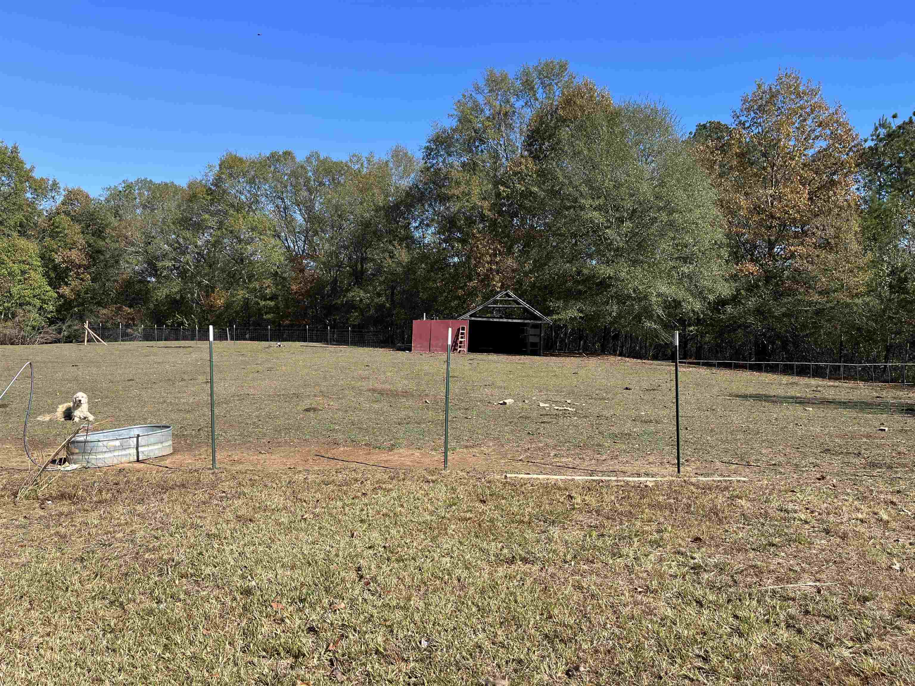 336 Martindale Road Bolivar, TN 38008 - Photo 5 of 22 Gallery Image 5