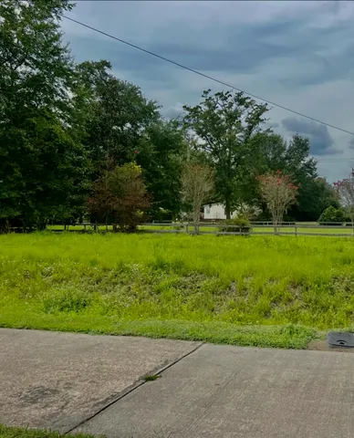 $325,000 | 0 Porchers Bluff Road, Mount Pleasant, SC 29466