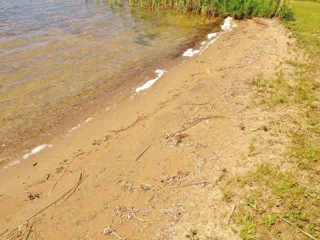 512-503 Point Road Backus, MN 56435 - Photo 5 of 18 Gallery Image 5