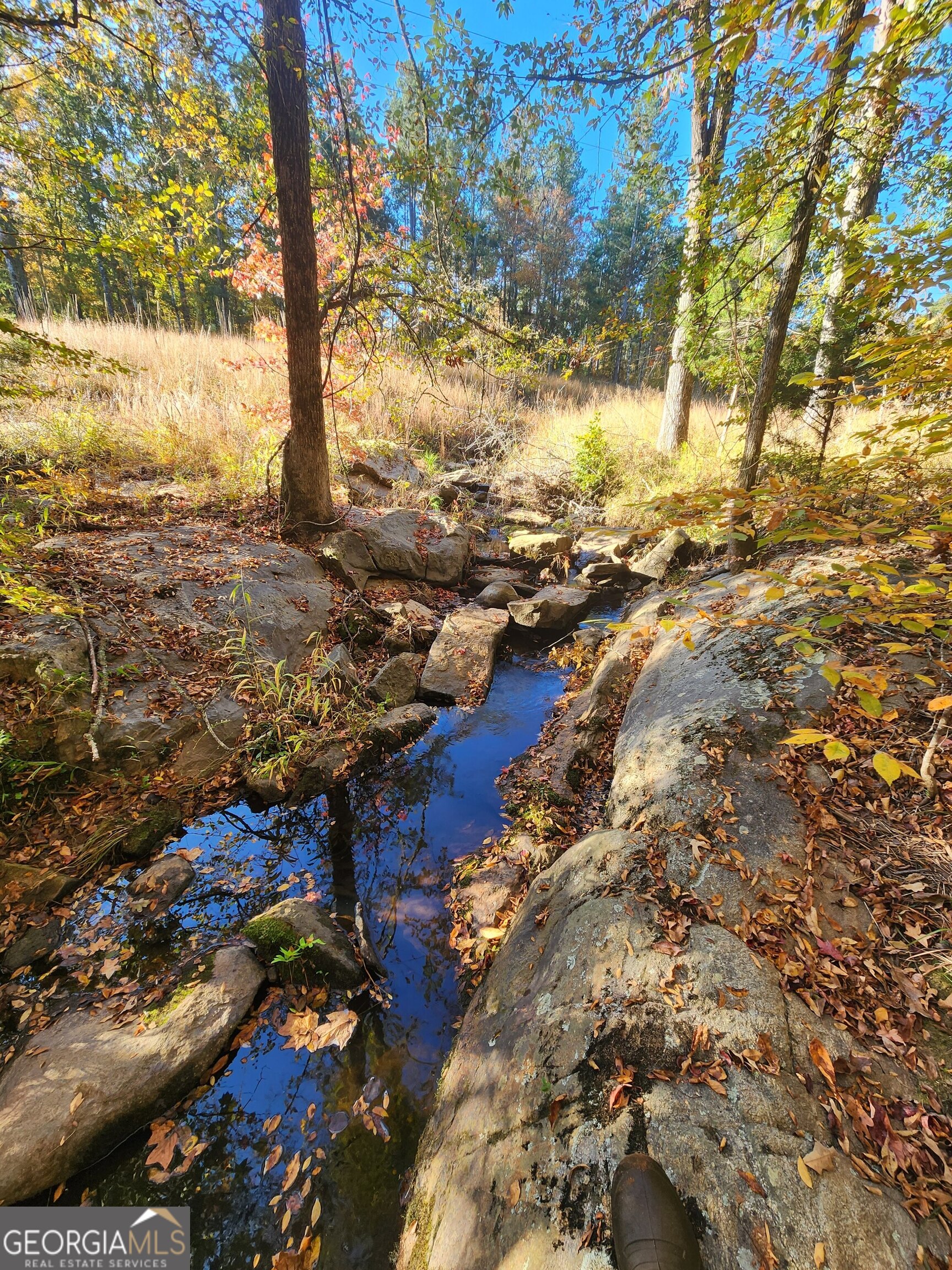 0 Martin Mill Road Eatonton, GA 31024 - Photo 1 of 1