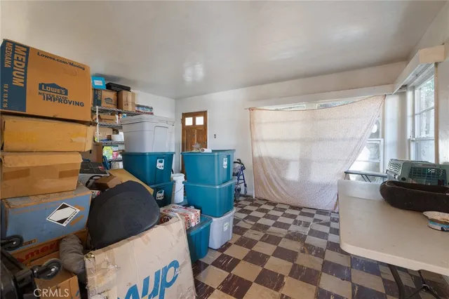 a living room with a couch and a potted plant