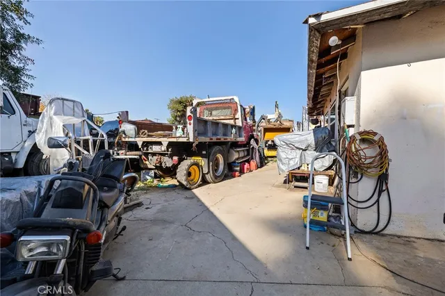 a view of a park with plants and palm trees