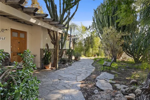 a view of a pathway with a tree