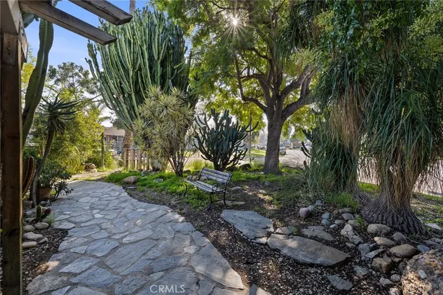 a view of a garden with plants