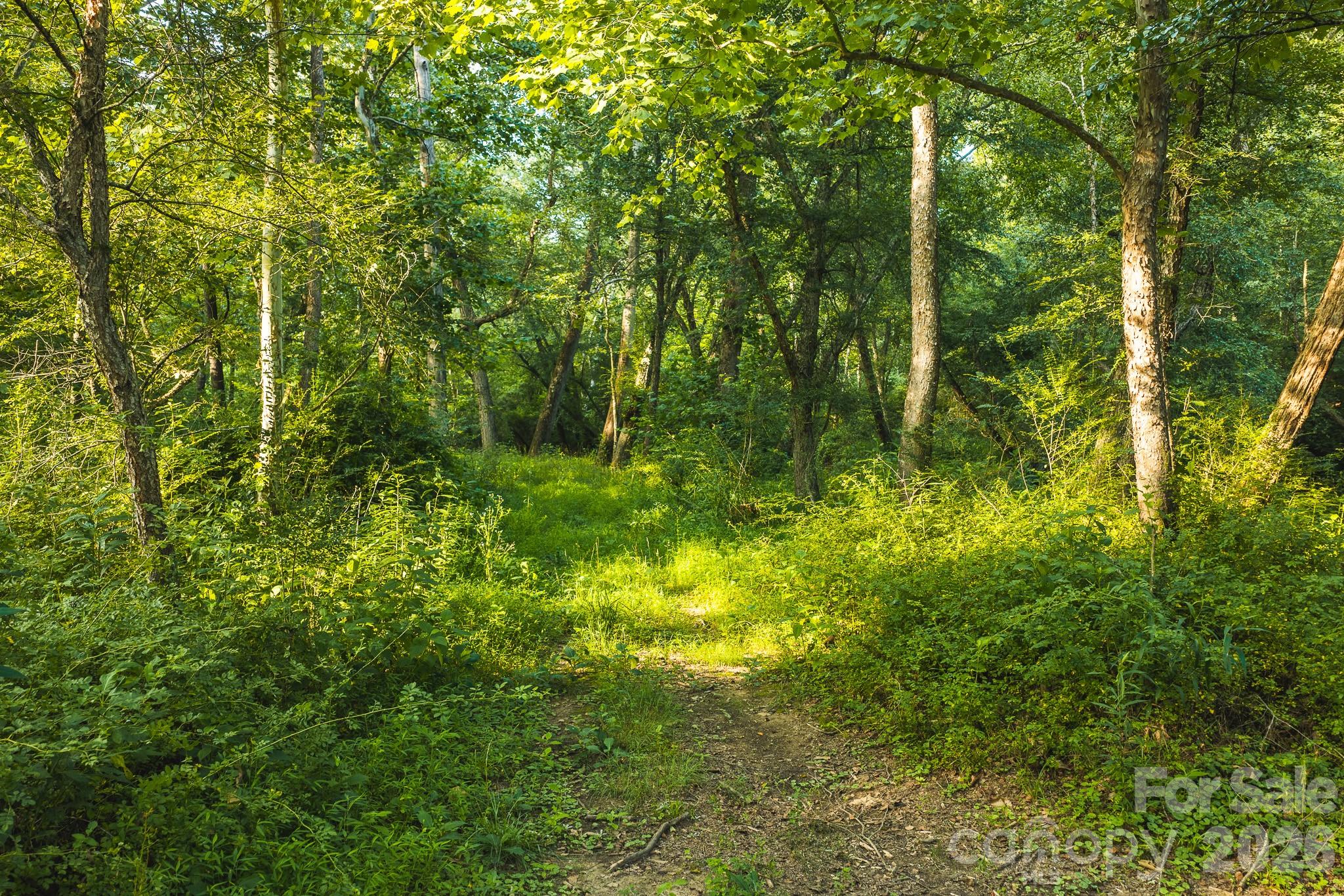 Tbd Sandbar Road Granite Falls, NC 28630 - Photo 1 of 43